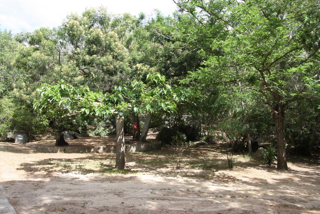 Camping Les Ilots D'Or Porto-Vecchio  Exterior foto
