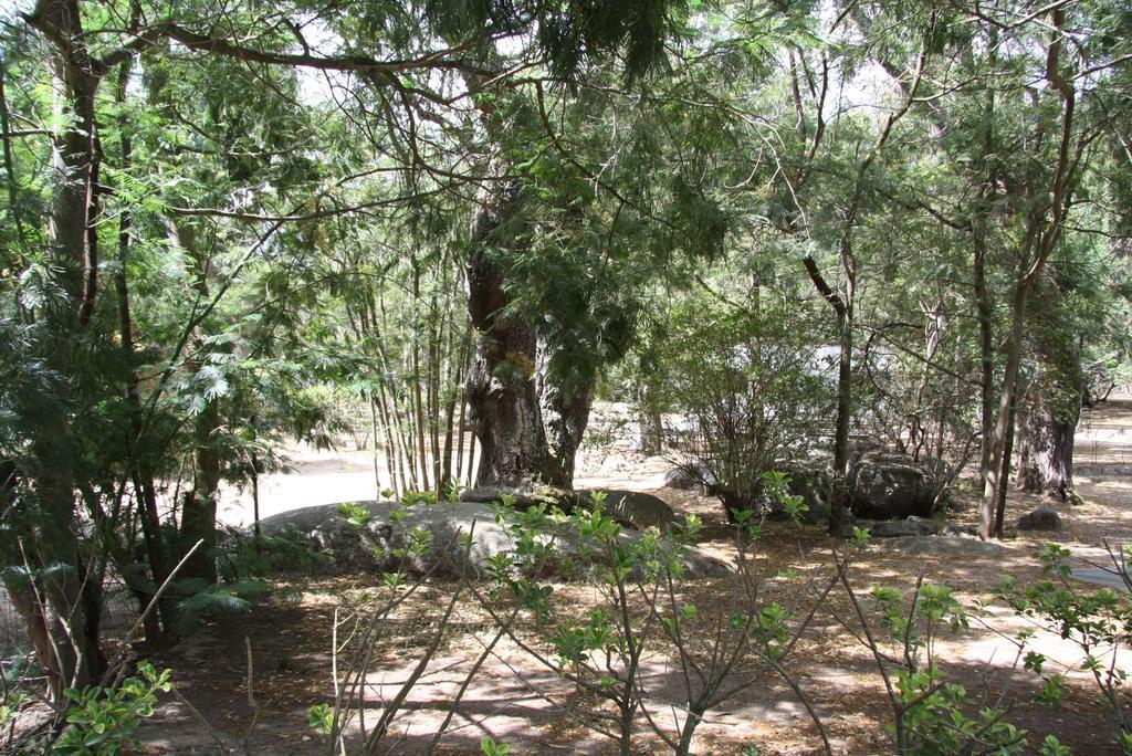 Camping Les Ilots D'Or Porto-Vecchio  Exterior foto